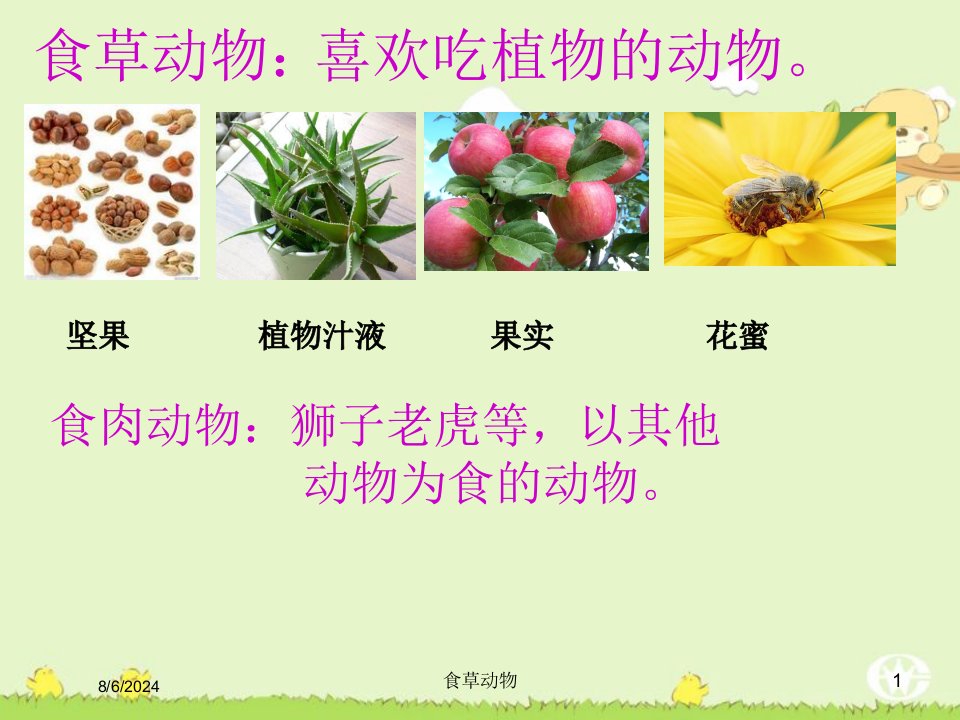 2021年度食草动物讲义