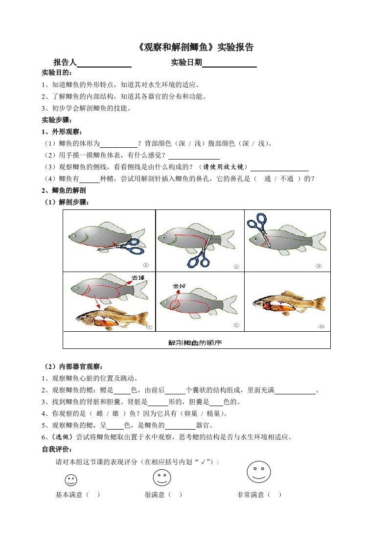 观察和解剖鲫鱼（实验）