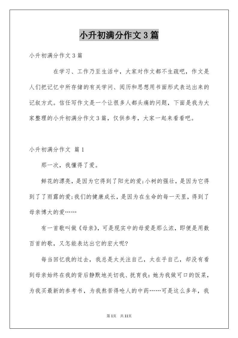 小升初满分作文3篇汇总