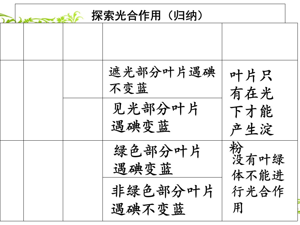 探索光合作用第二课时