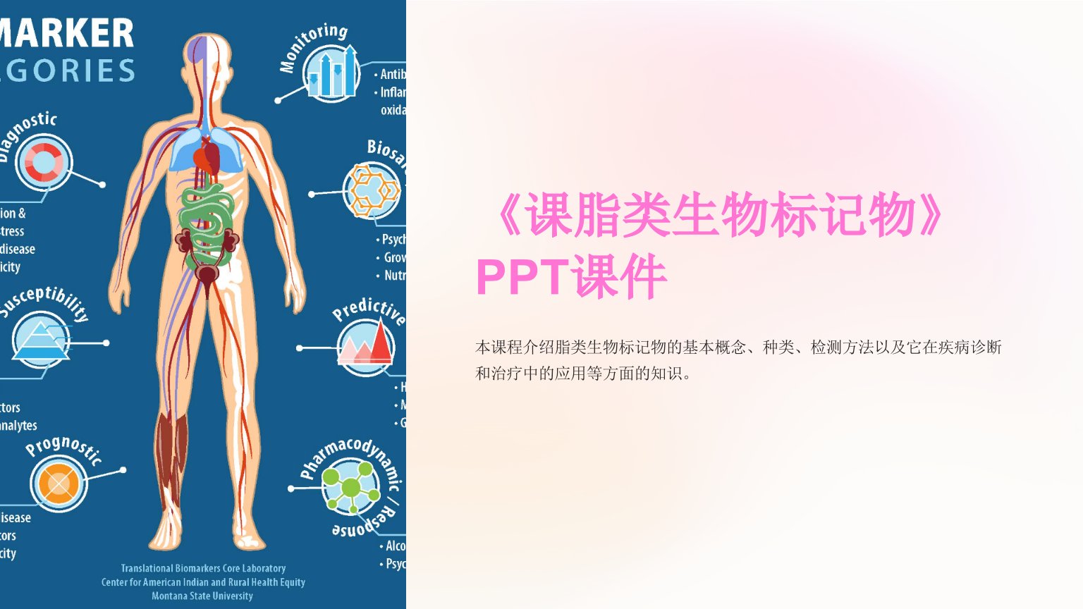 《课脂类生物标记物》课件