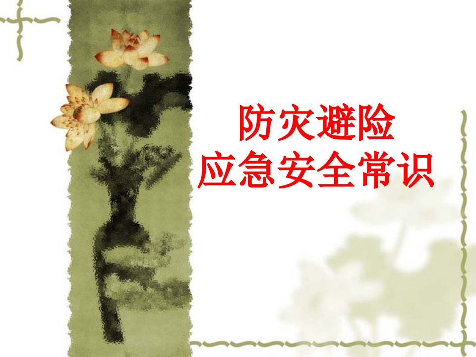 防灾避险应急安全常识（PPT58页)