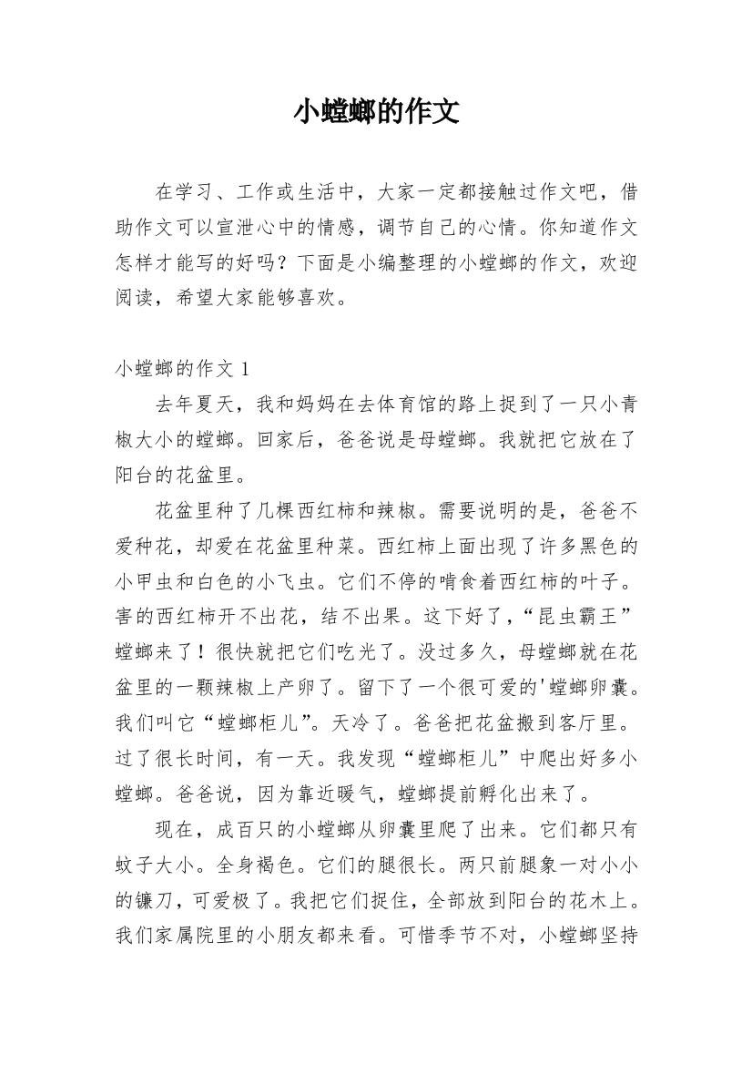 小螳螂的作文