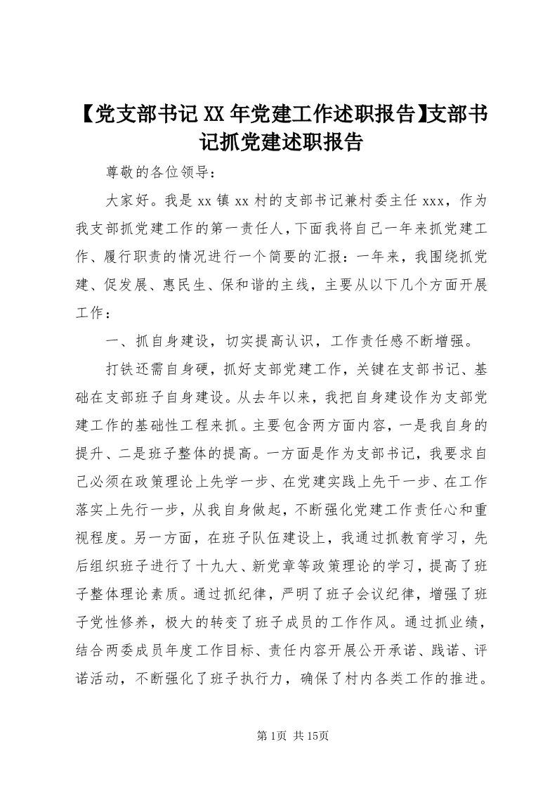 【党支部书记某年党建工作述职报告】支部书记抓党建述职报告