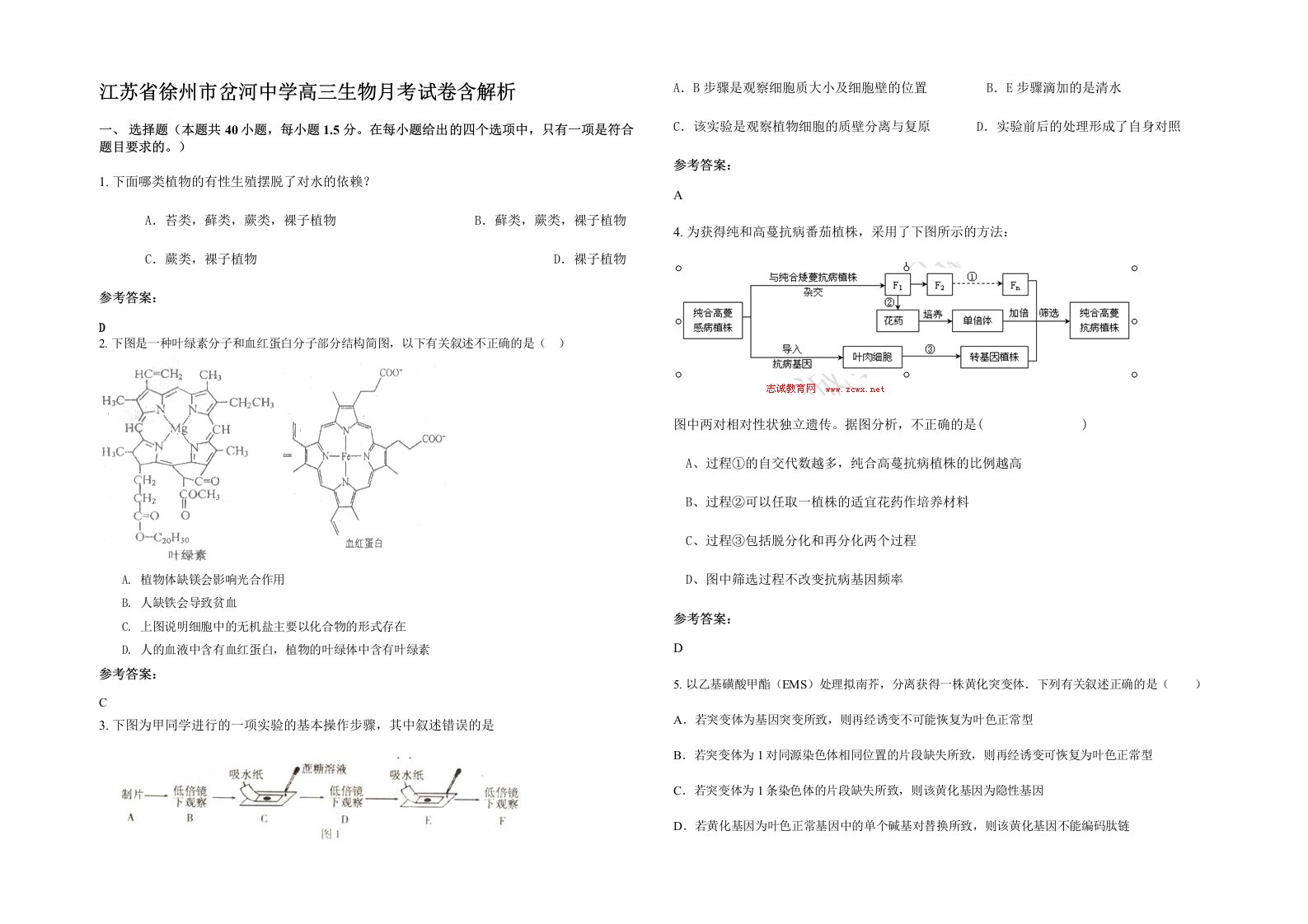 江苏省徐州市岔河中学高三生物月考试卷含解析