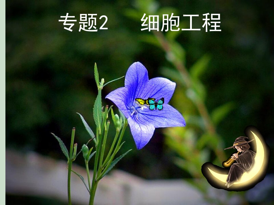 《植物细胞细胞工程》