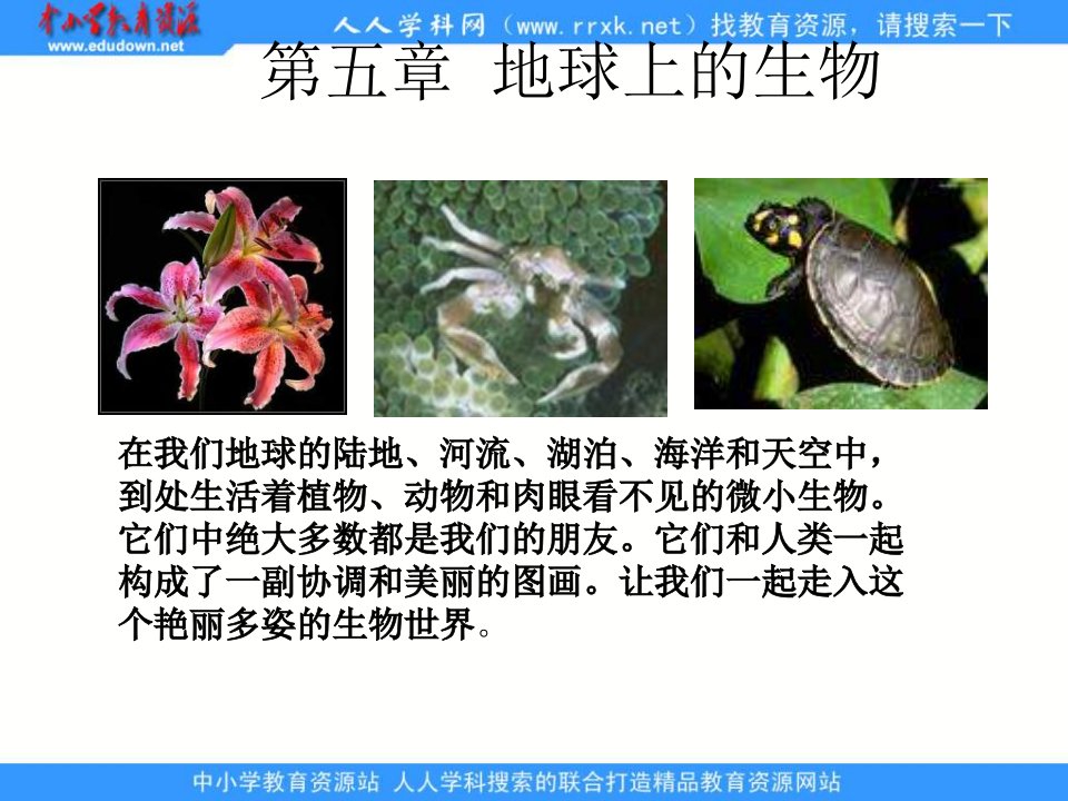 华师大版科学七上《艳丽多姿的生物》