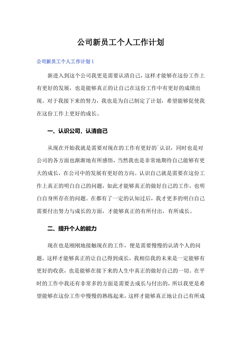 公司新员工个人工作计划