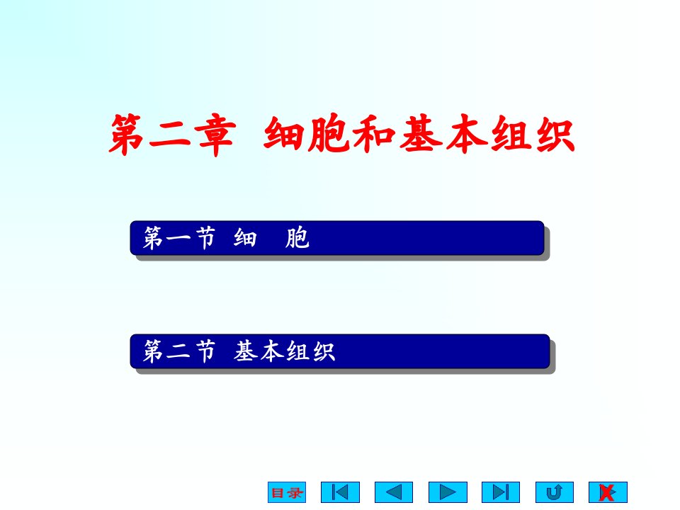 人体解剖生理学第2章细胞和基本组织