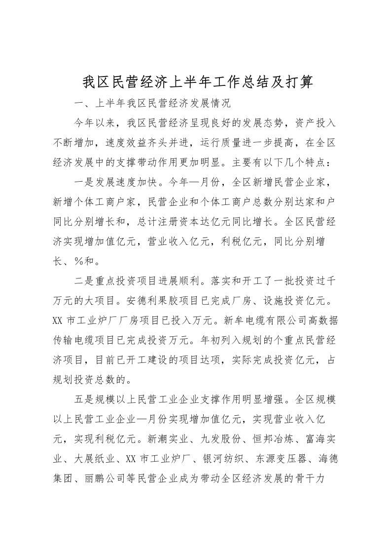 2022我区民营经济上半年工作总结及打算