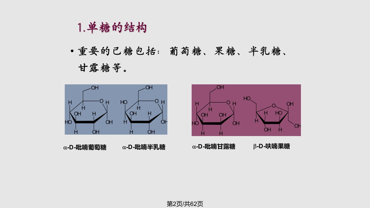 糖与糖代谢学习