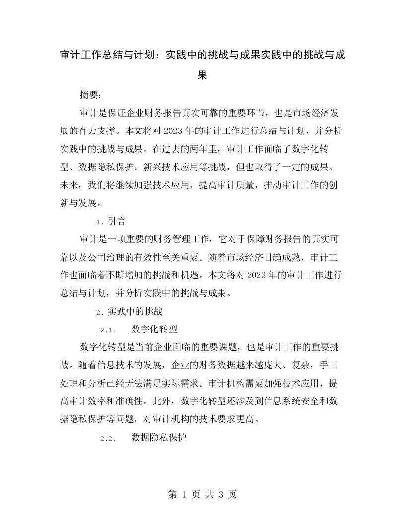 审计工作总结与计划：实践中的挑战与成果