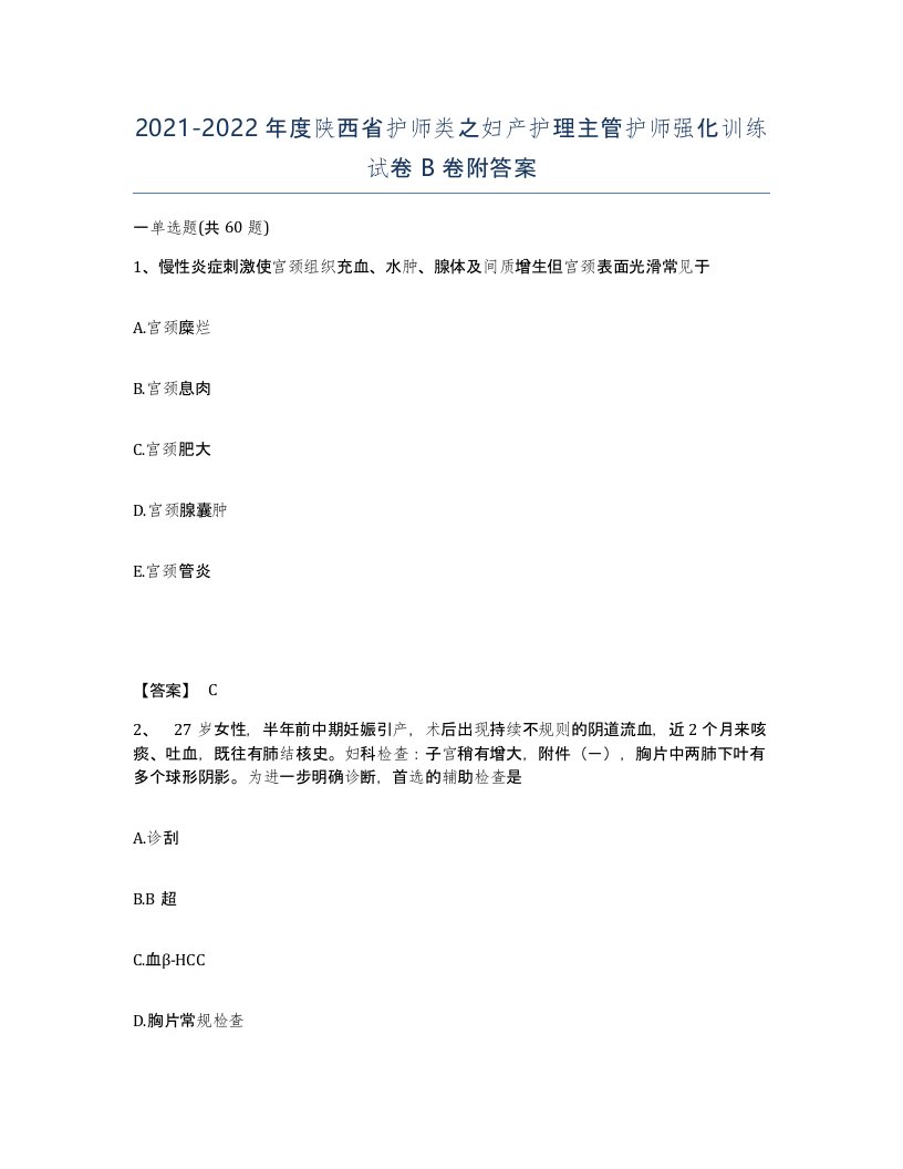 2021-2022年度陕西省护师类之妇产护理主管护师强化训练试卷B卷附答案