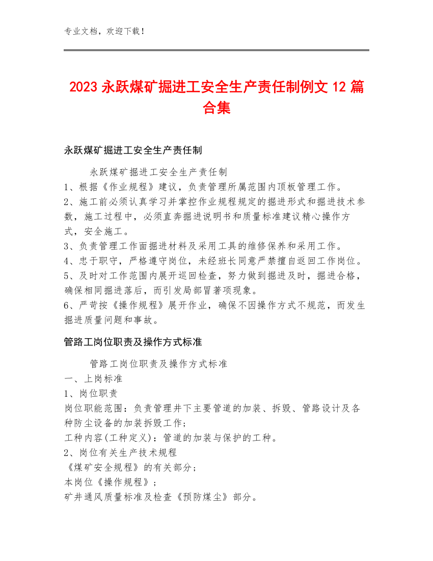 2023永跃煤矿掘进工安全生产责任制例文12篇合集