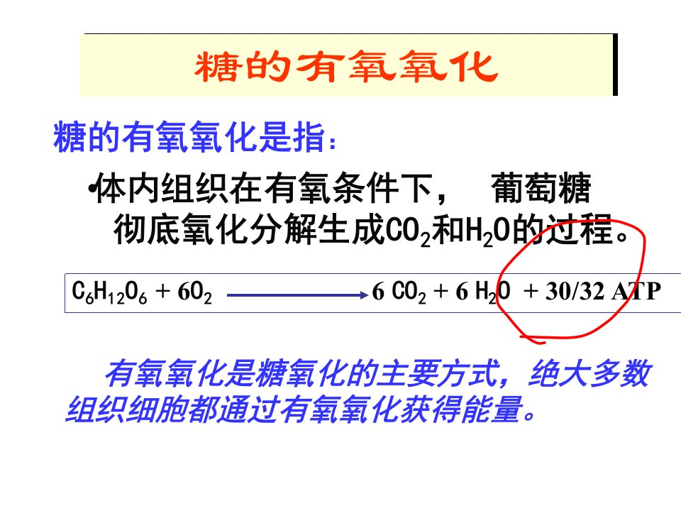 第六章糖代谢-2