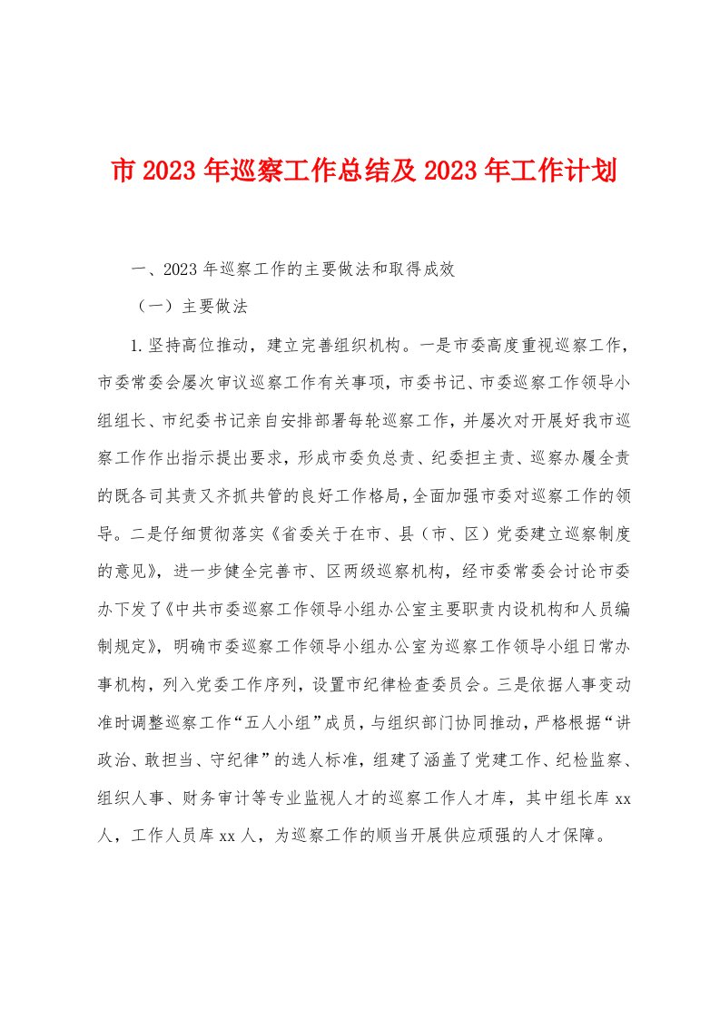 市2023年巡察工作总结及2023年工作计划[001]