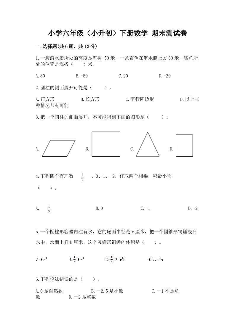 小学六年级（小升初）下册数学