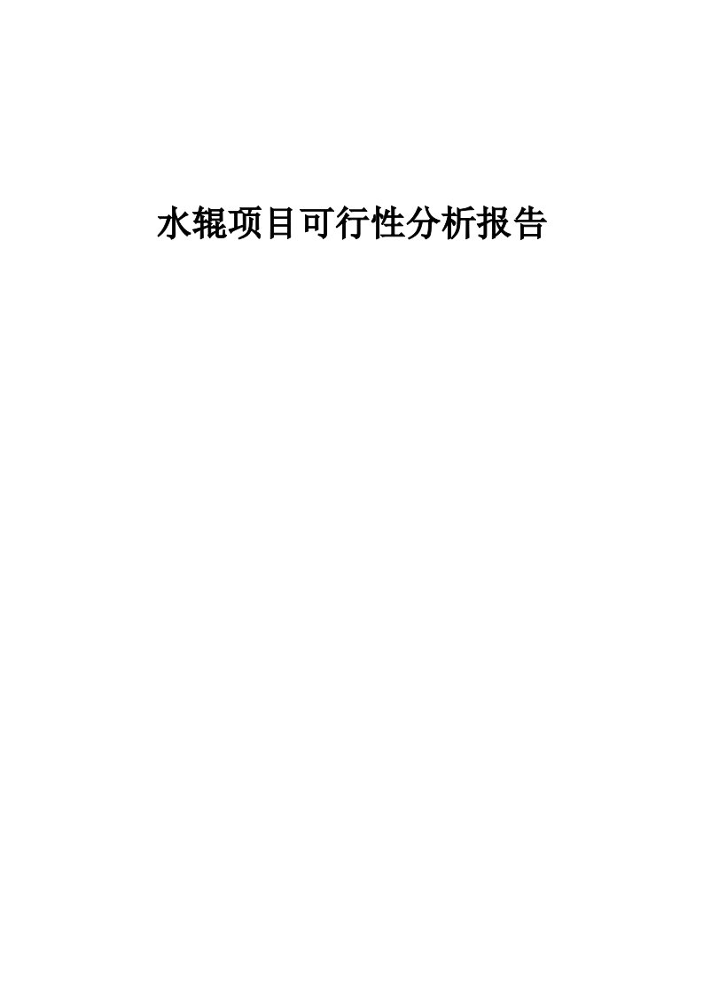 水辊项目可行性分析报告