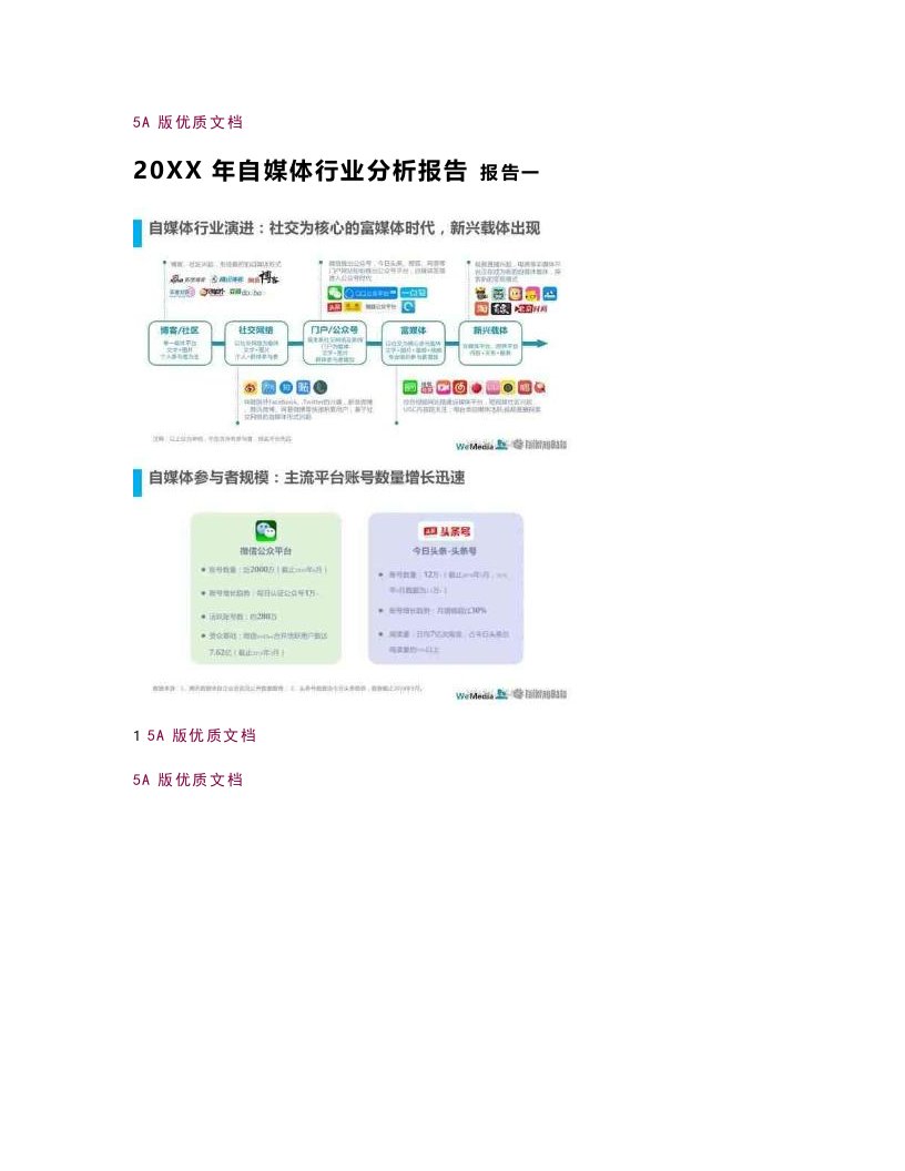【5A文】年度自媒体行业分析报告