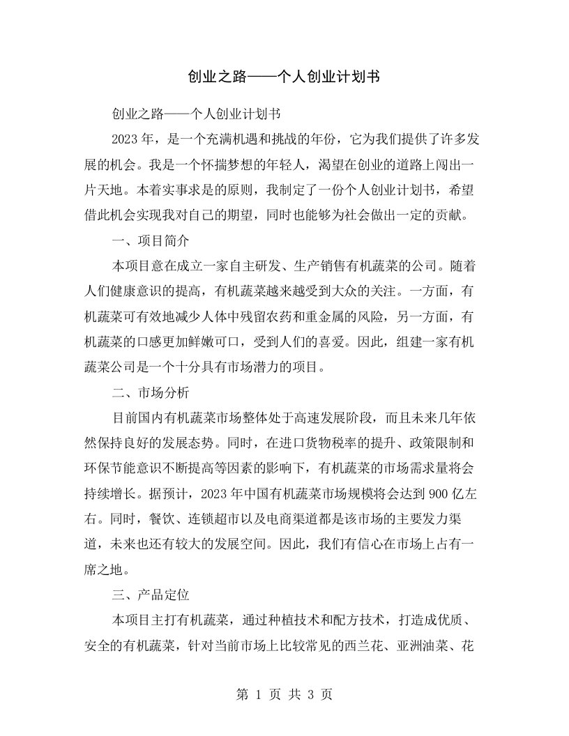 创业之路——个人创业计划书