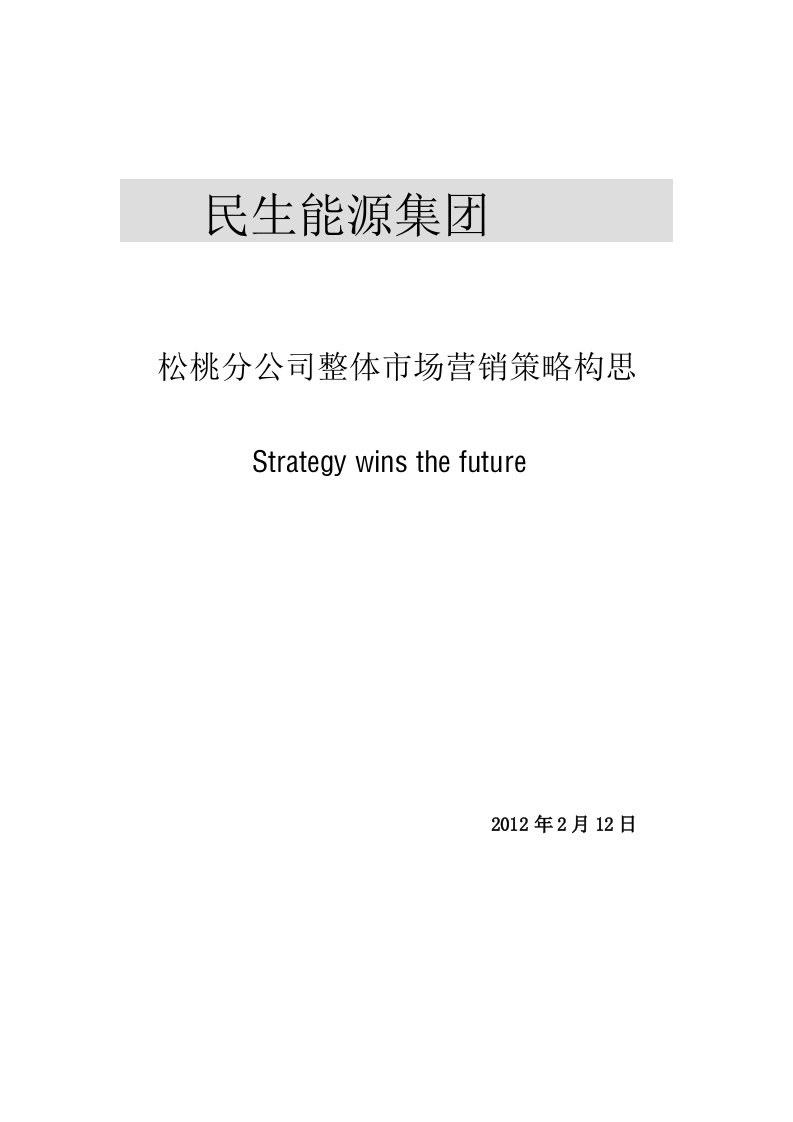 某公司整体市场营销策略构思