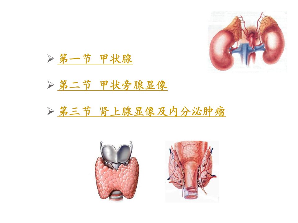 核医学内分泌系统ppt课件