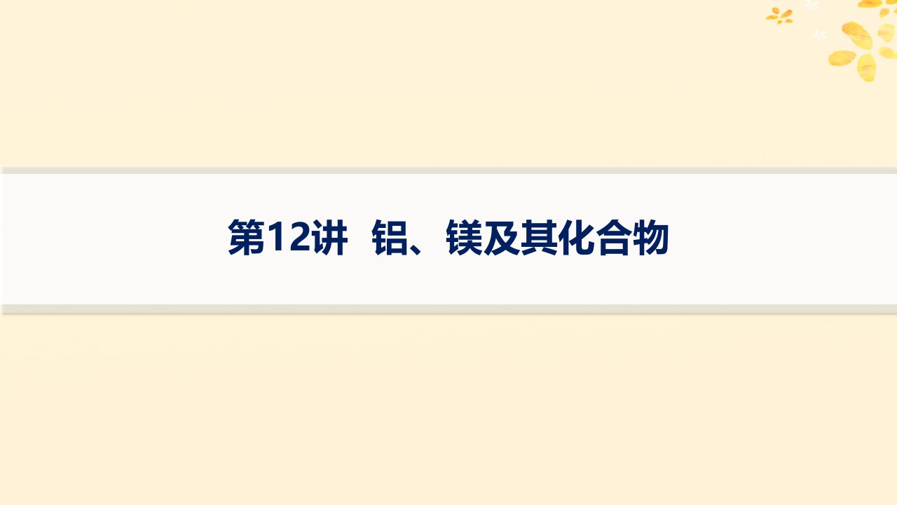 适用于新高考新教材备战2025届高考化学一轮总复习第3章金属及其化合物第12讲铝镁及其化合物课件