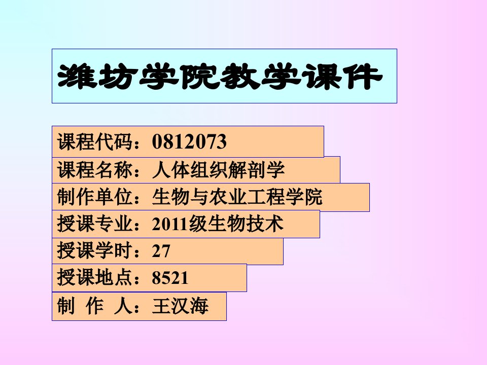 人体组织解剖学循环系统