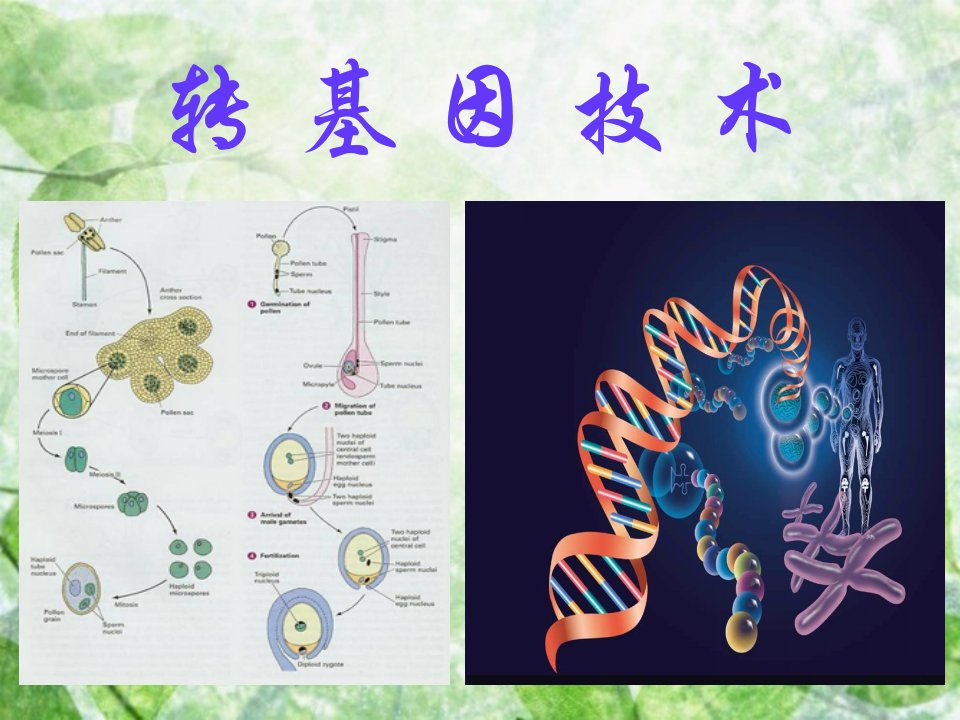 《转基因技术