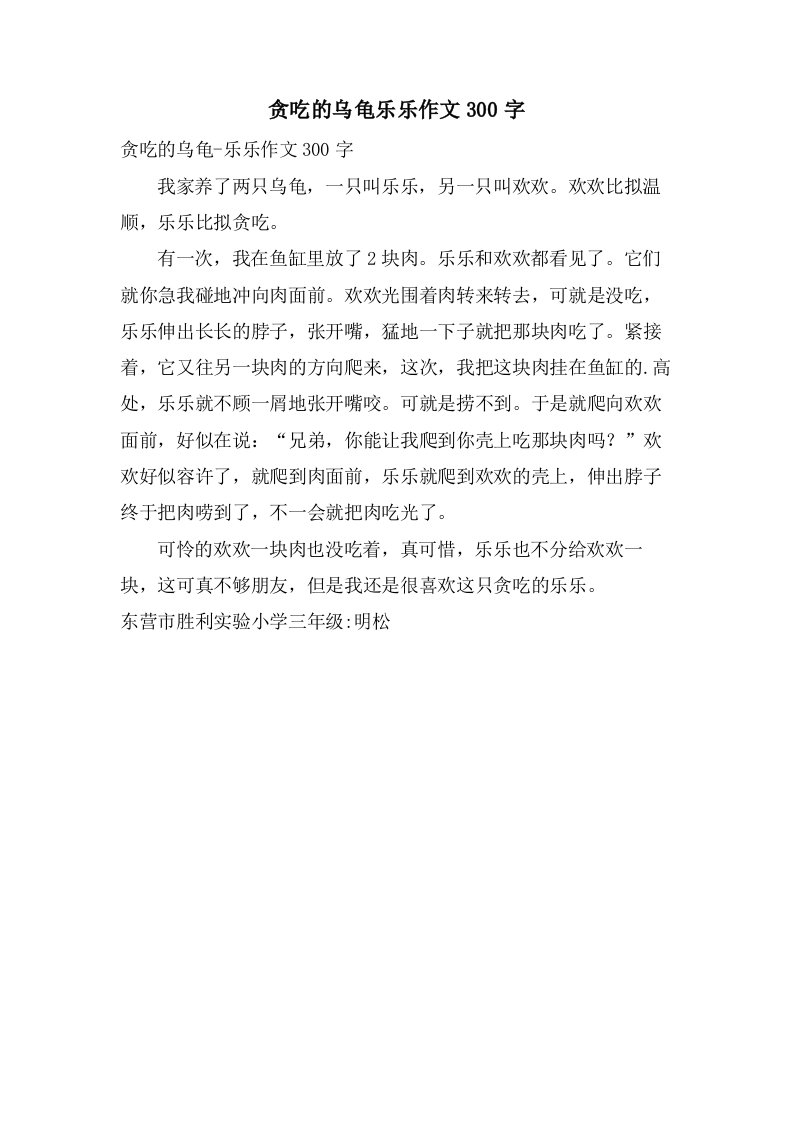 贪吃的乌龟乐乐作文300字