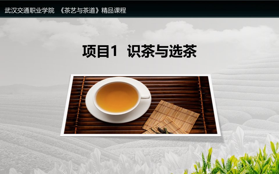 《茶艺与茶道》项目1识茶与选茶