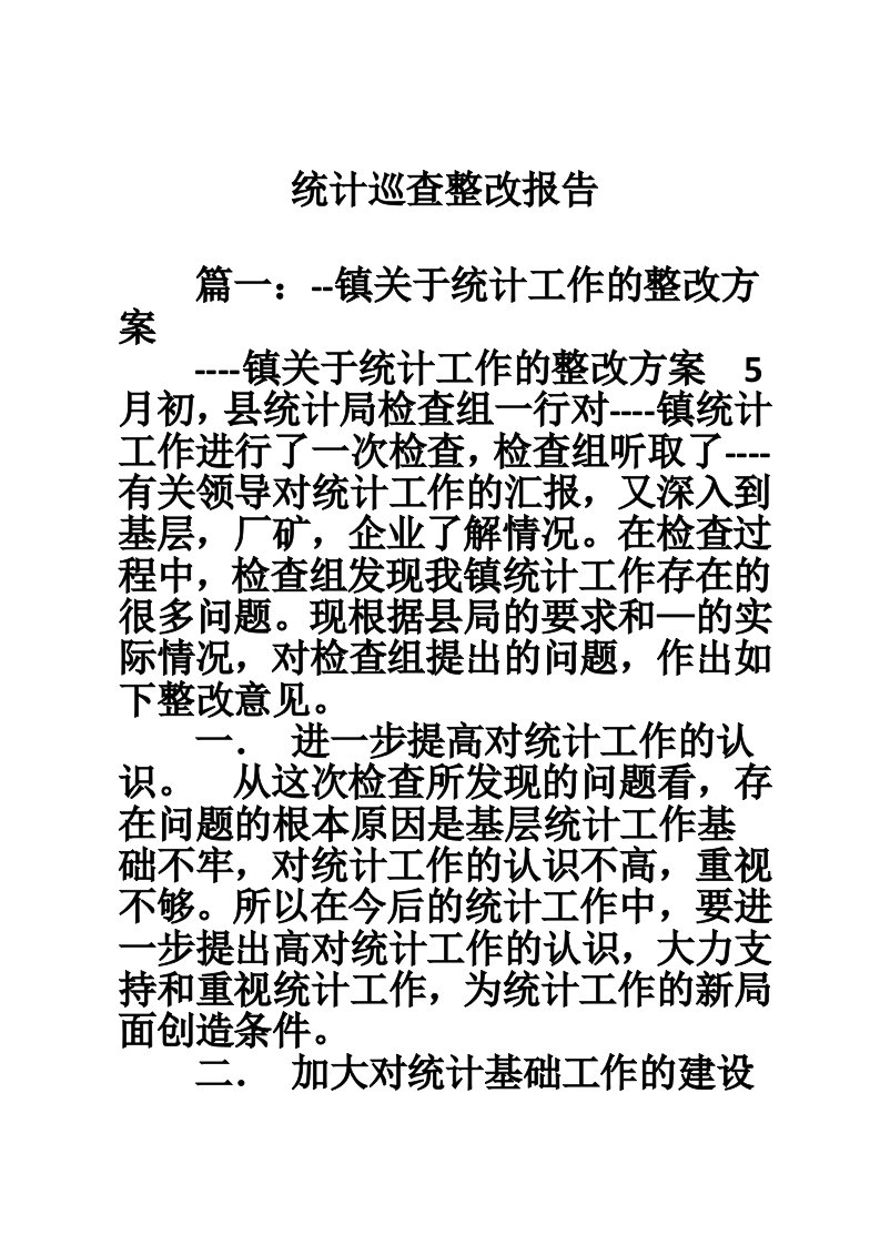 统计巡查整改报告