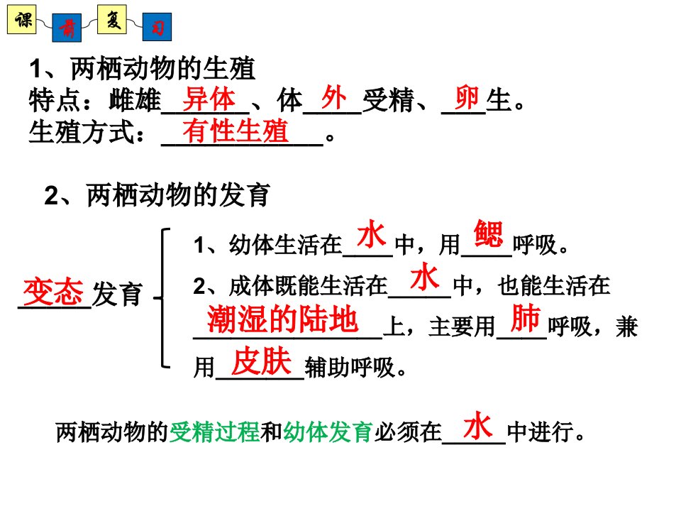 鸟的生殖和发育(济南版)