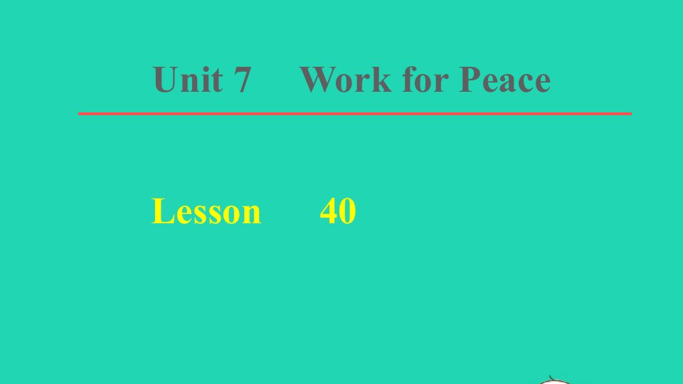 2022九年级英语下册Unit7WorkforPeace词句梳理Lesson40课件新版冀教版