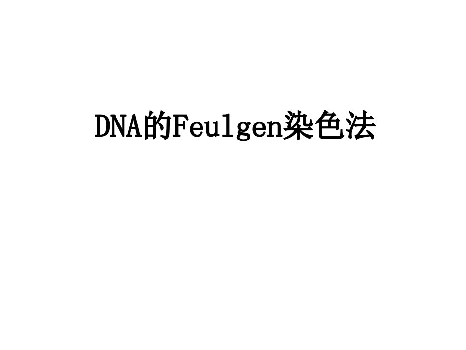 8DNAFeulgen染色