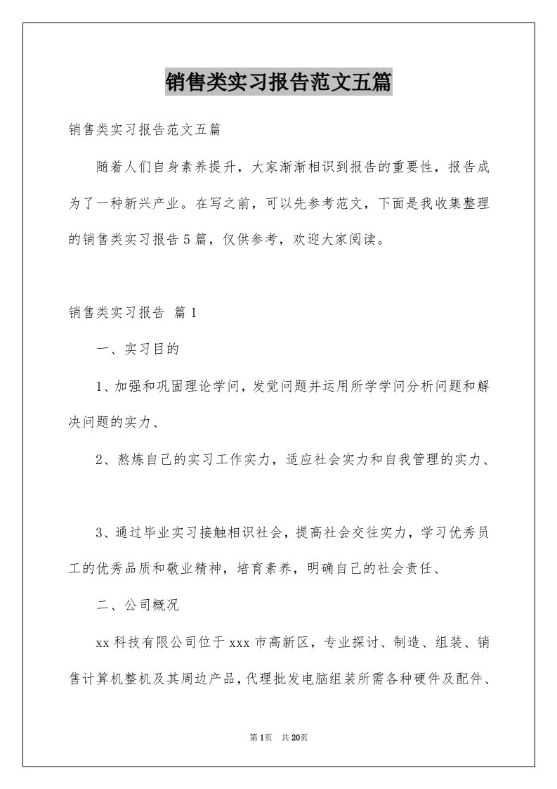 销售类实习报告范文五篇范本