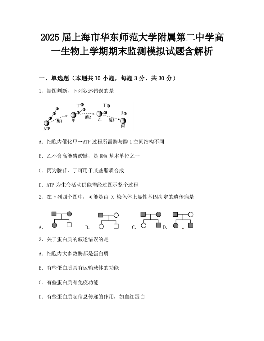 2025届上海市华东师范大学附属第二中学高一生物上学期期末监测模拟试题含解析