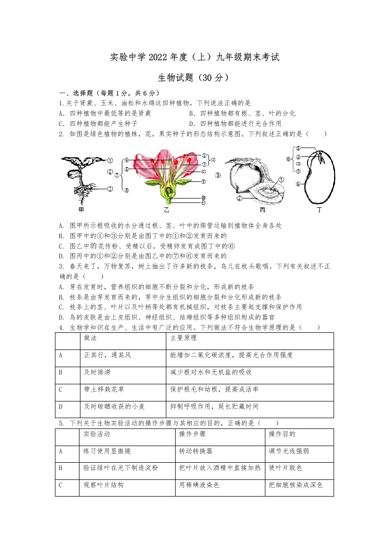 2022年湖北省襄阳市樊城区实验中学九年级上学期期末生物试卷（含答案）