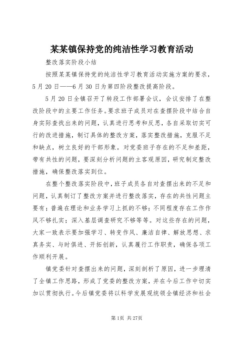 4某某镇保持党的纯洁性学习教育活动