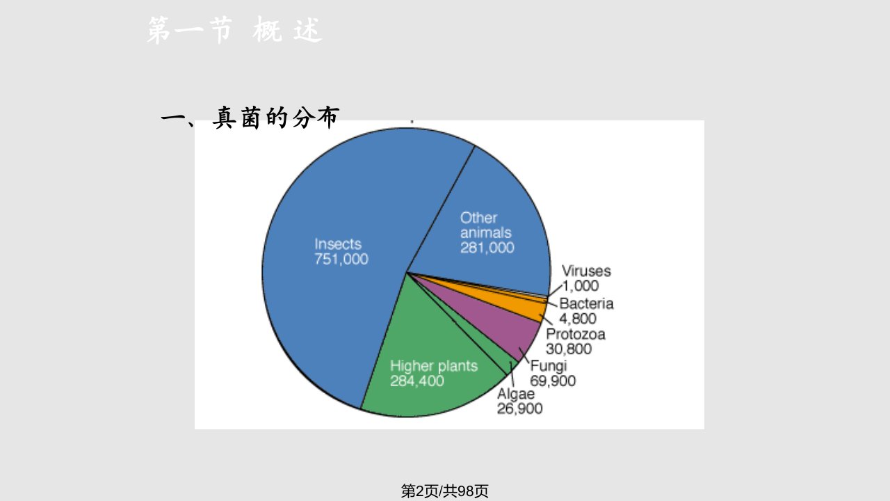 真核微生物形态结构与功能