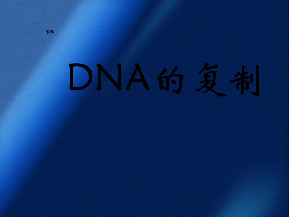 有关DNA分子复制的计算