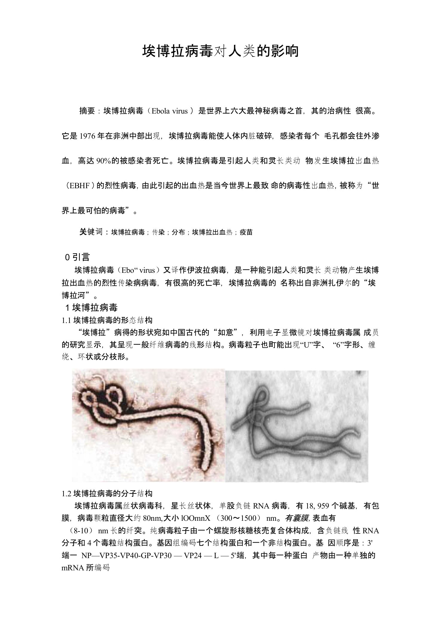 埃博拉病毒小论文