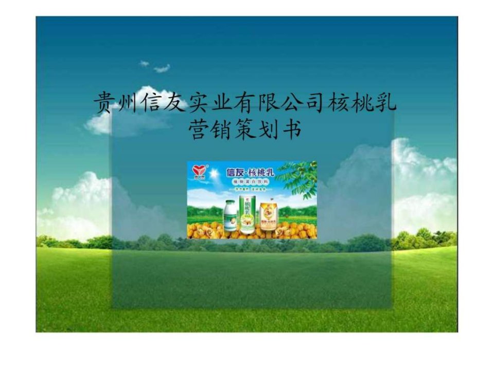 贵州信友实业有限公司核桃乳营销策划书.ppt(1)