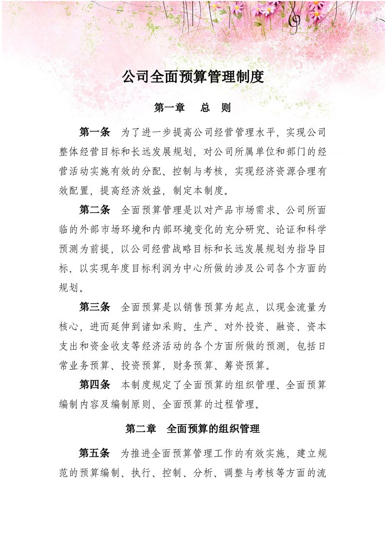 公司全面预算管理制度