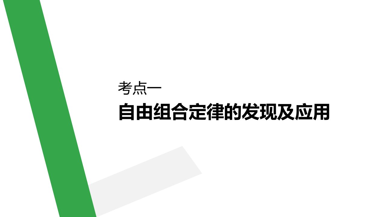 20版基因的自由组合定律步步高ppt课件