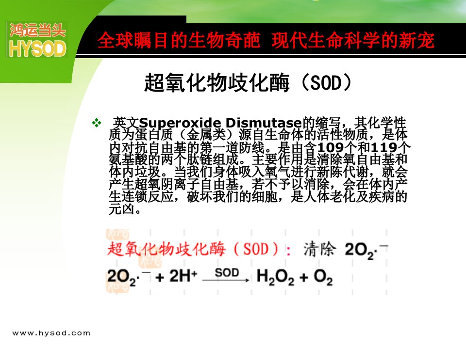 超氧化物歧化酶(sod)专业知识1