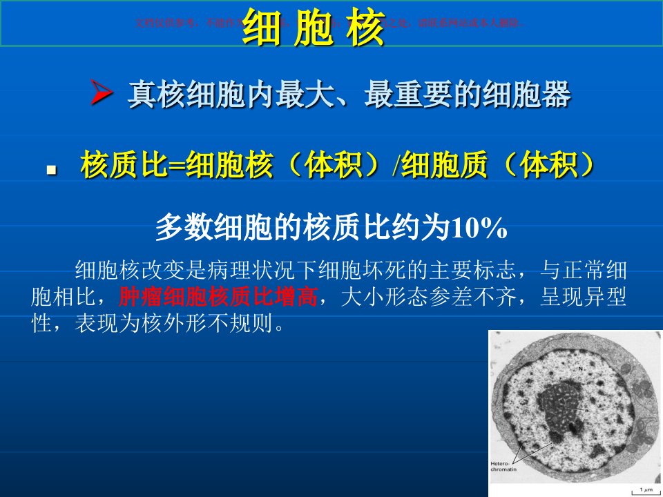 细胞生物学翟中和编细胞核和染色体课件