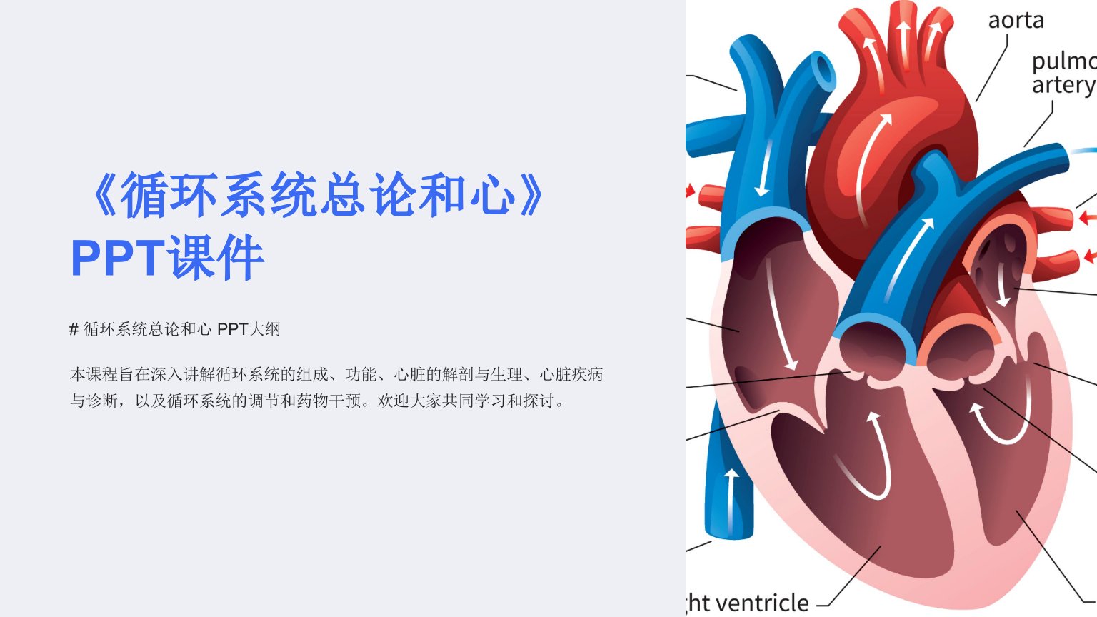 《循环系统总论和心》课件