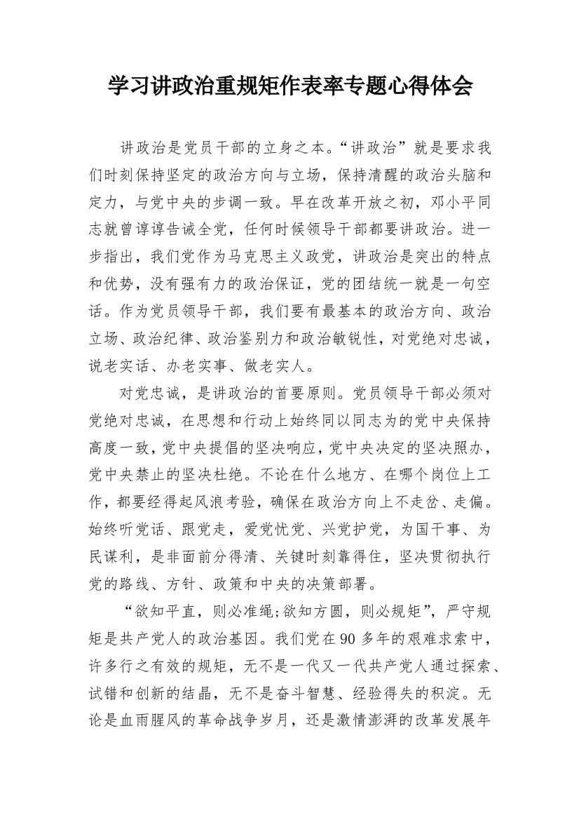 学习讲政治重规矩作表率专题心得体会