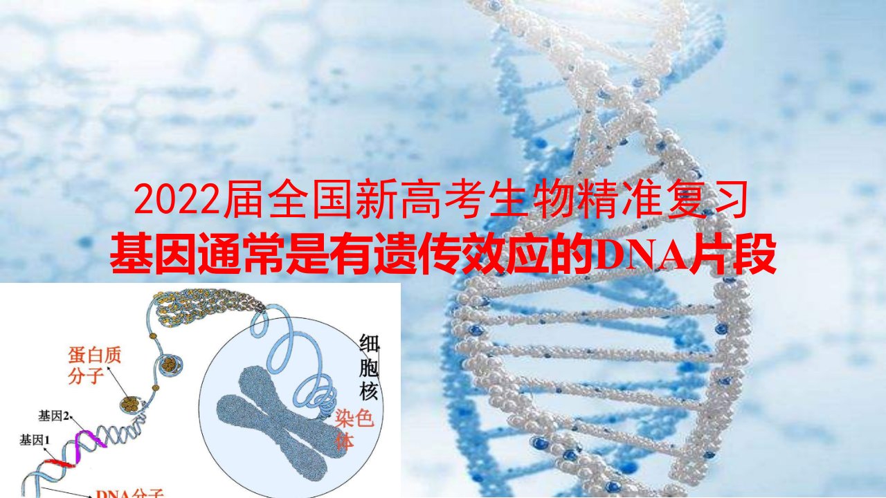 2022届全国新高考生物精准复习基因通常是有遗传效应的DNA片段课件